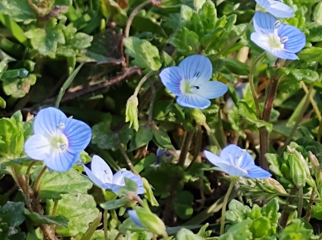 No s'ha trobat l'arxiu